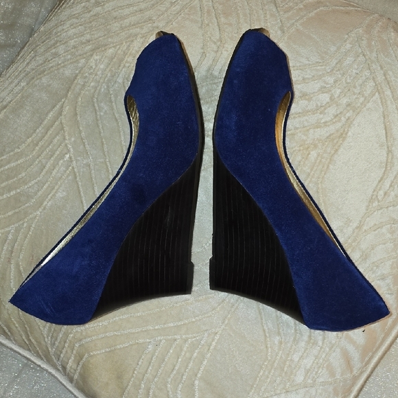 Lilly Pulitzer Blue and Gold Wedges with Elegant Design - Picture 9 of 13